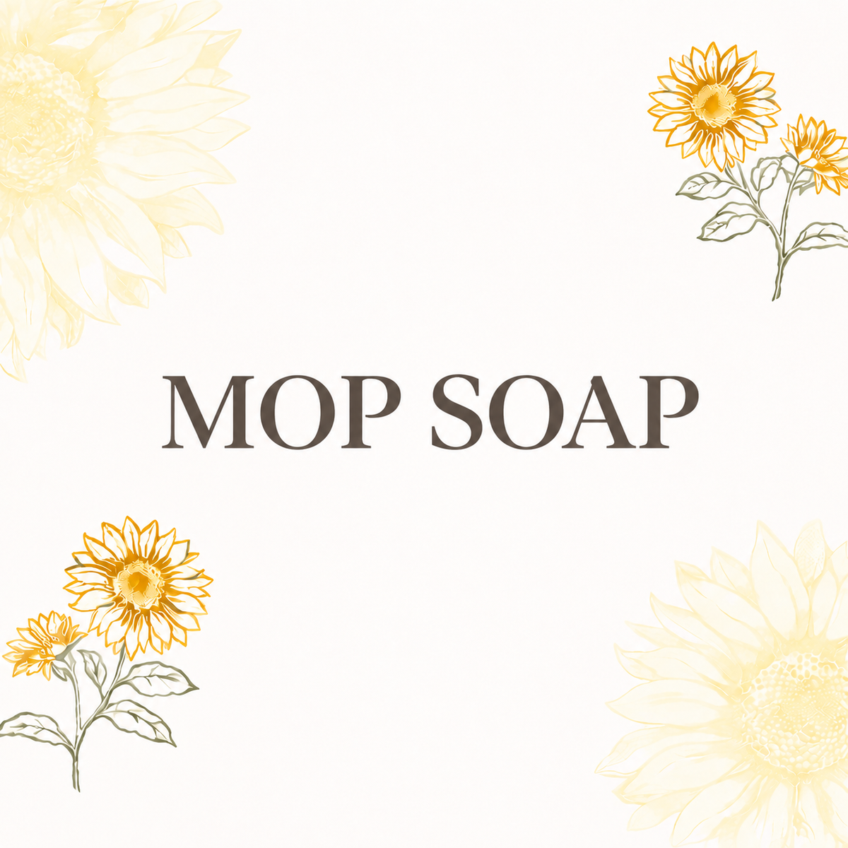 MOP SOAP