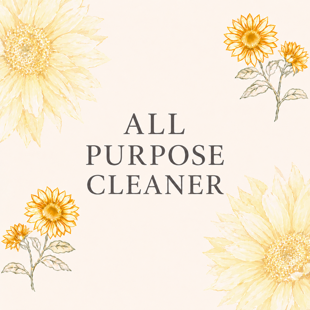 ALL PURPOSE CLEANER